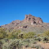 Review photo of Lost Dutchman State Park Campground by Bob L., March 3, 2021