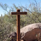 Review photo of Lost Dutchman State Park Campground by Bob L., March 3, 2021