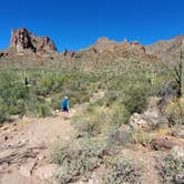 Review photo of Lost Dutchman State Park Campground by Bob L., March 3, 2021