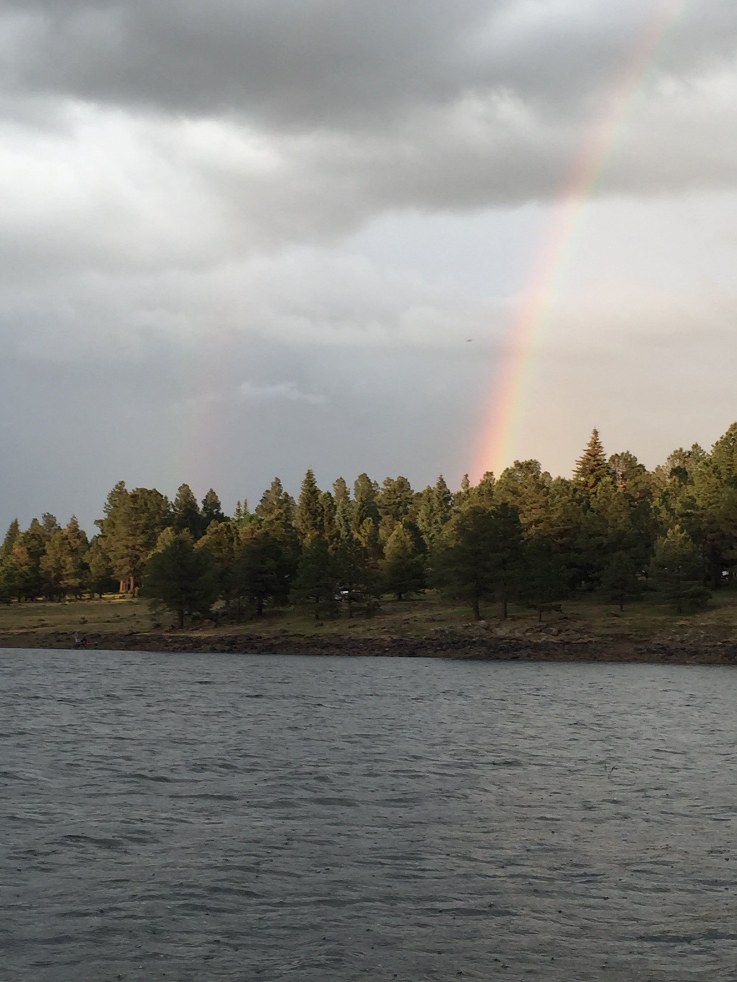 Camper submitted image from Hawley Lake Apache Indian Res - 2