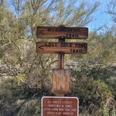 Review photo of Lost Dutchman State Park Campground by Bob L., March 3, 2021