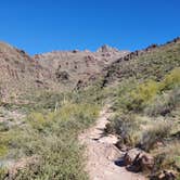 Review photo of Lost Dutchman State Park Campground by Bob L., March 3, 2021