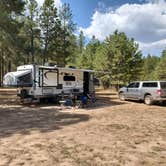 Review photo of Buck Mountain Dispersed Camping by Bob L., March 3, 2021