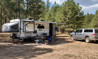 Buck Mountain Dispersed Camping