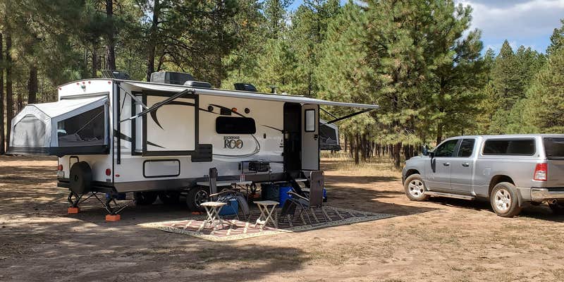 Camper submitted image from Buck Mountain Dispersed Camping