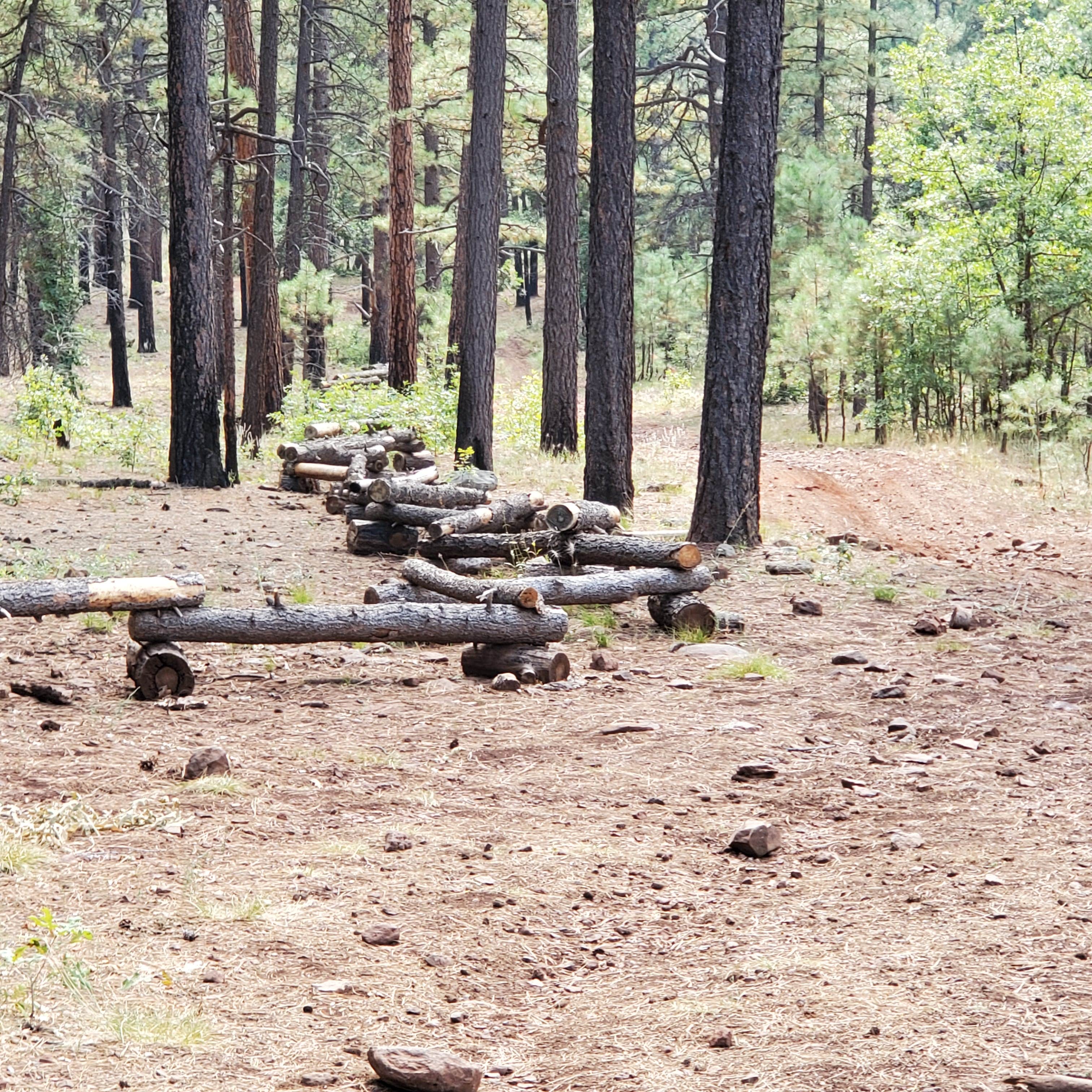 Camper-submitted photo at Buck Mountain Dispersed Camping near Happy Jack, AZ
