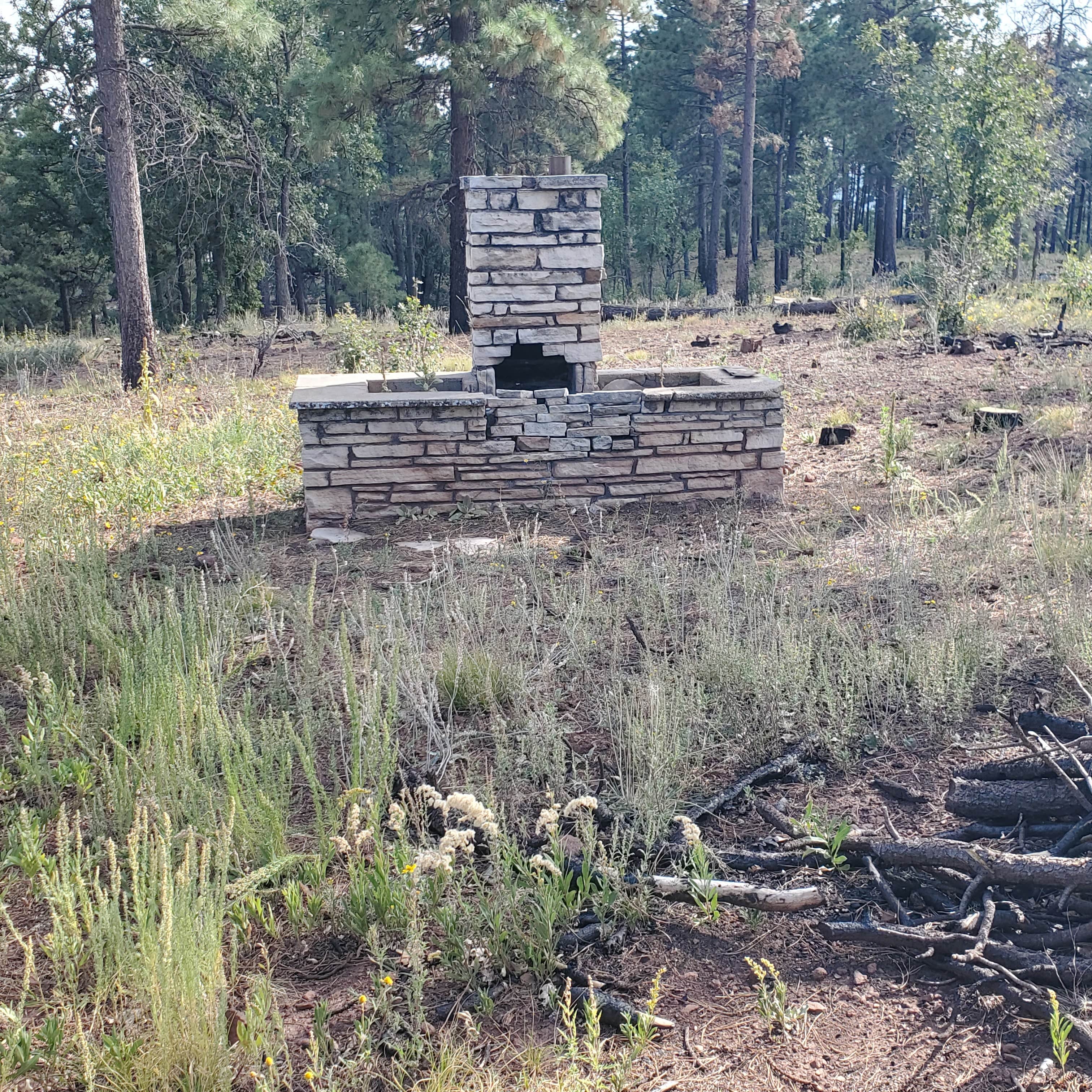 Camper-submitted photo at Buck Mountain Dispersed Camping near Happy Jack, AZ