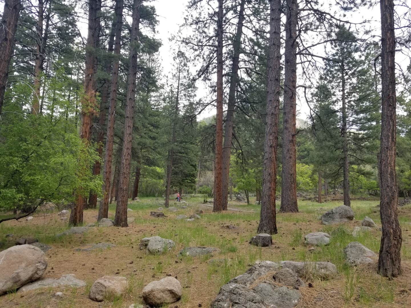 Camper-submitted photo at Mitt Moody Campground near Veyo, UT