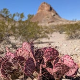 Review photo of Black Dike — Big Bend National Park by Shari  G., March 3, 2021
