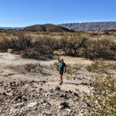 Review photo of Black Dike — Big Bend National Park by Shari  G., March 3, 2021