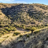 Review photo of Davis Mountains State Park Campground by Shari  G., March 3, 2021