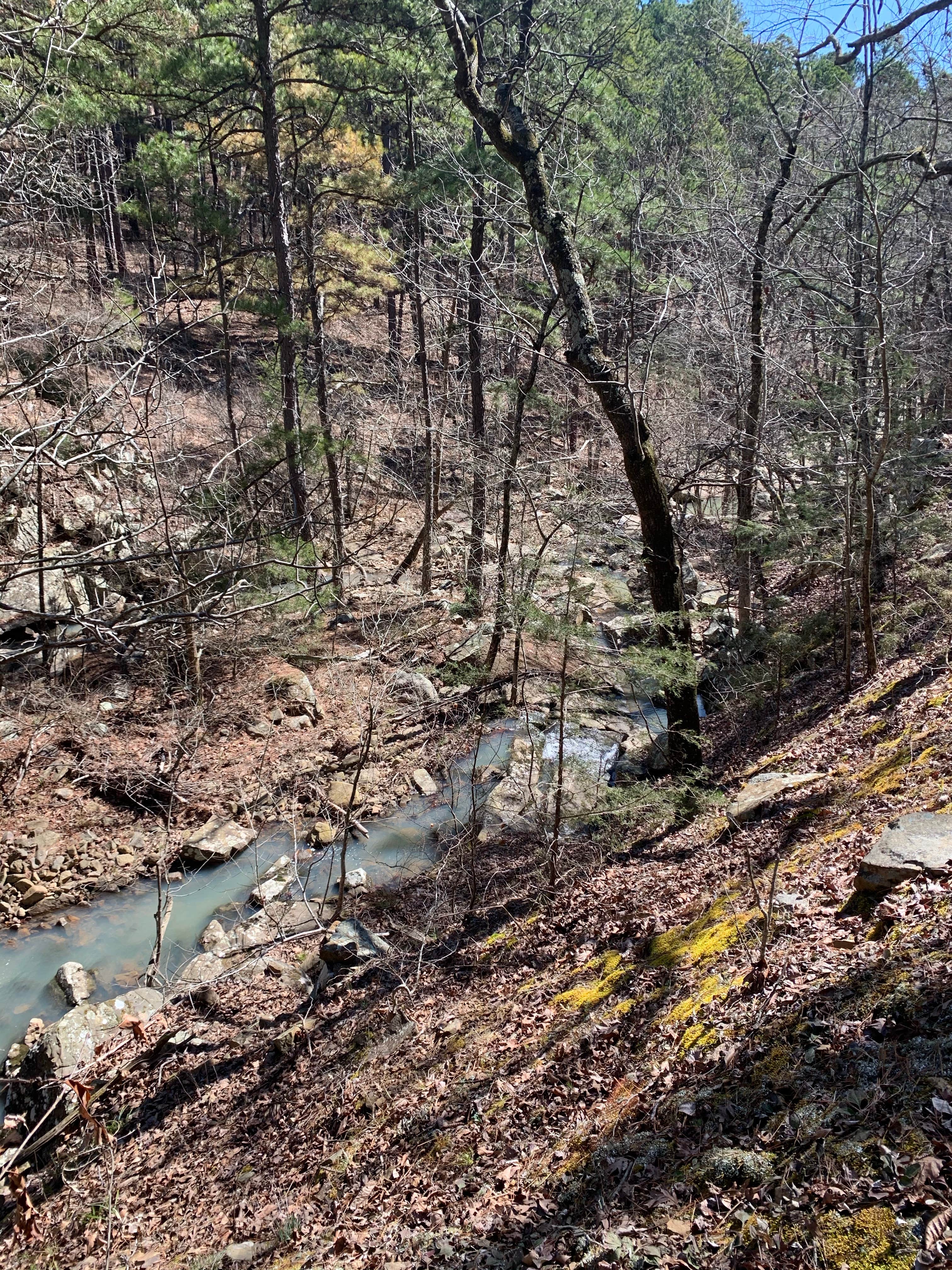 Camper submitted image from Talimena State Park Campground - 1