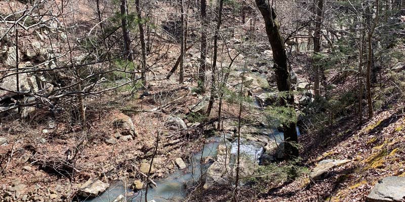 Camper submitted image from Talimena State Park Campground