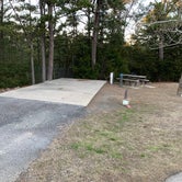 Review photo of Talimena State Park by Neil T., March 4, 2021
