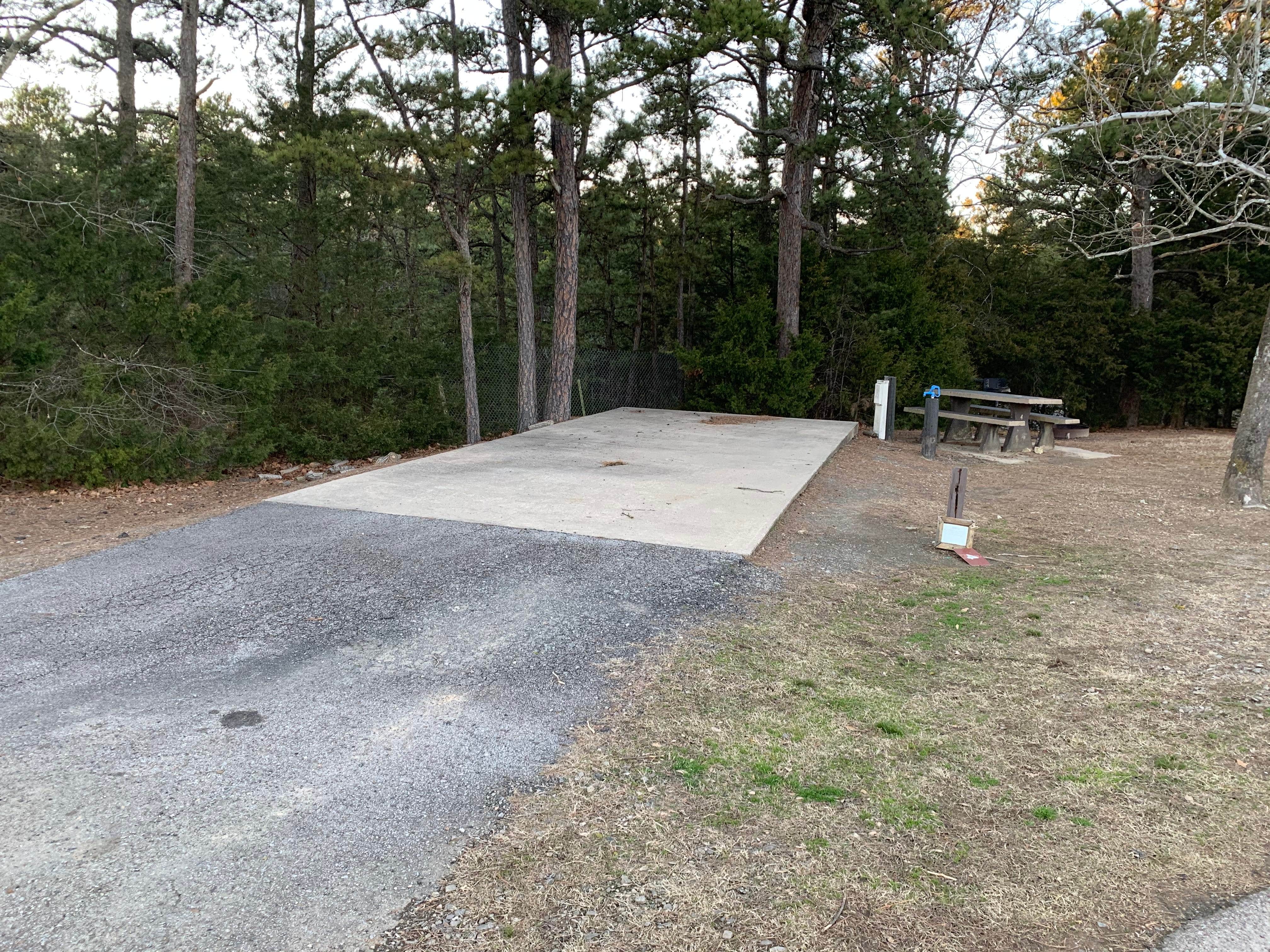 Camper submitted image from Talimena State Park Campground - 3
