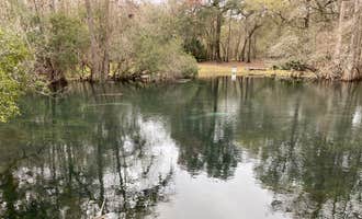 Camping near Greenfields RV Campground: Manatee Springs State Park Campground, Chiefland, Florida