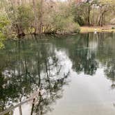 Review photo of Manatee Springs State Park Campground by Kathy L., March 4, 2021