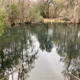 Manatee Springs State Park