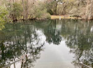 Manatee Springs State Park Campground