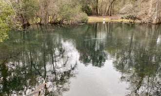 Camping near Suwannee River Bend RV Park: Manatee Springs State Park Campground, Chiefland, Florida