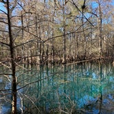 Review photo of Manatee Springs State Park Campground by Kathy L., March 4, 2021