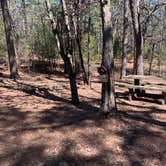 Review photo of Talimena State Park Campground by Neil T., March 4, 2021