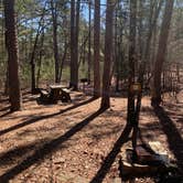 Review photo of Talimena State Park Campground by Neil T., March 4, 2021