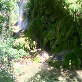 Review photo of Colorado Bend State Park Campground by Hannah G., May 30, 2018