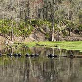 Review photo of Dogwood Campground — O'Leno State Park by Kathy L., March 4, 2021