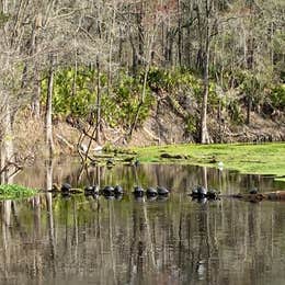 Dogwood Campground — O'Leno State Park