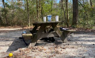Kathy L.'s photo at Dogwood Campground — O'Leno State Park near Olustee, FL