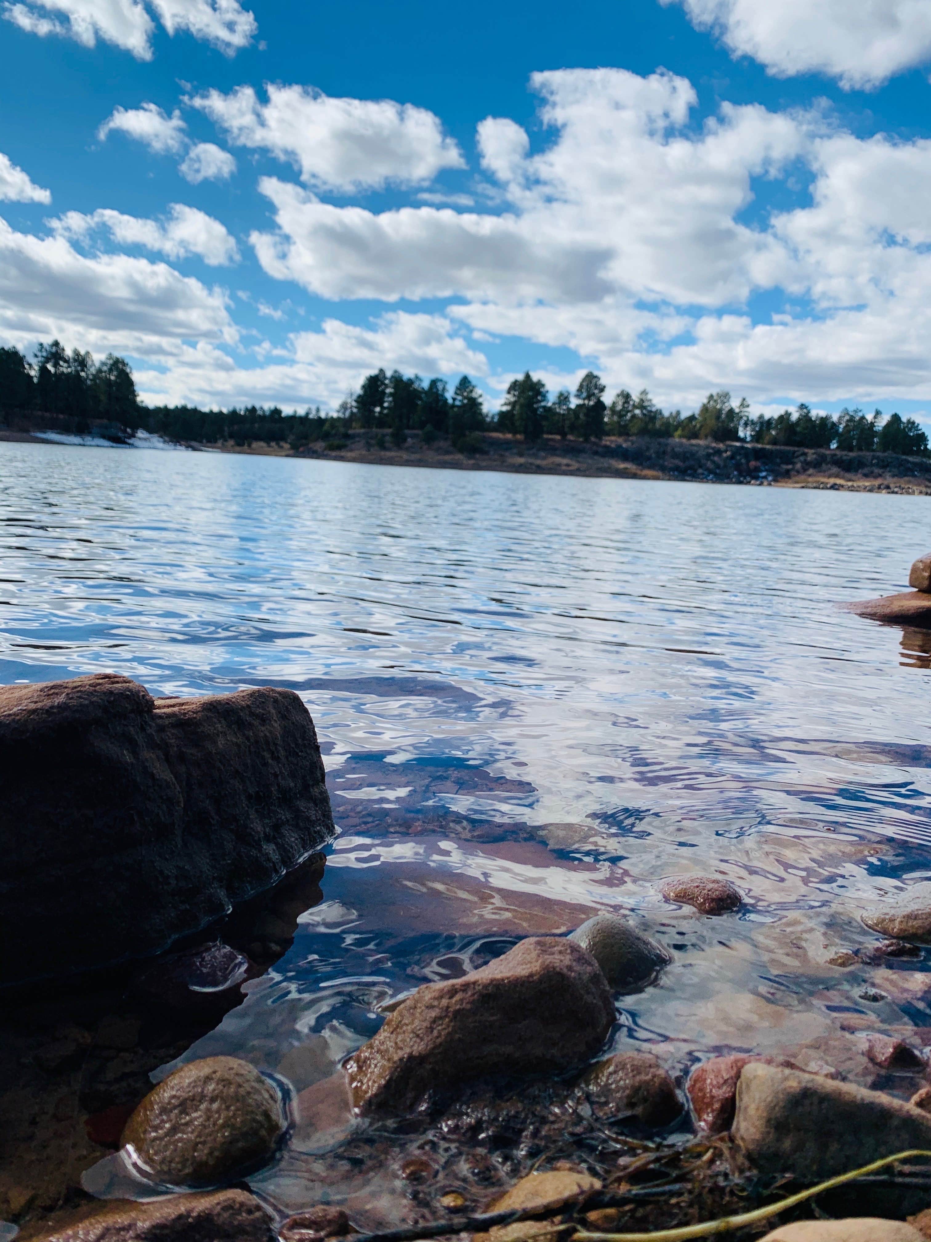 Camper-submitted photo at Fool Hollow Lake Recreation Area Campground near McNary, AZ