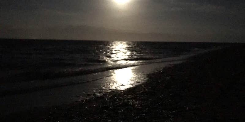 Camper submitted image from Magnolia Beach