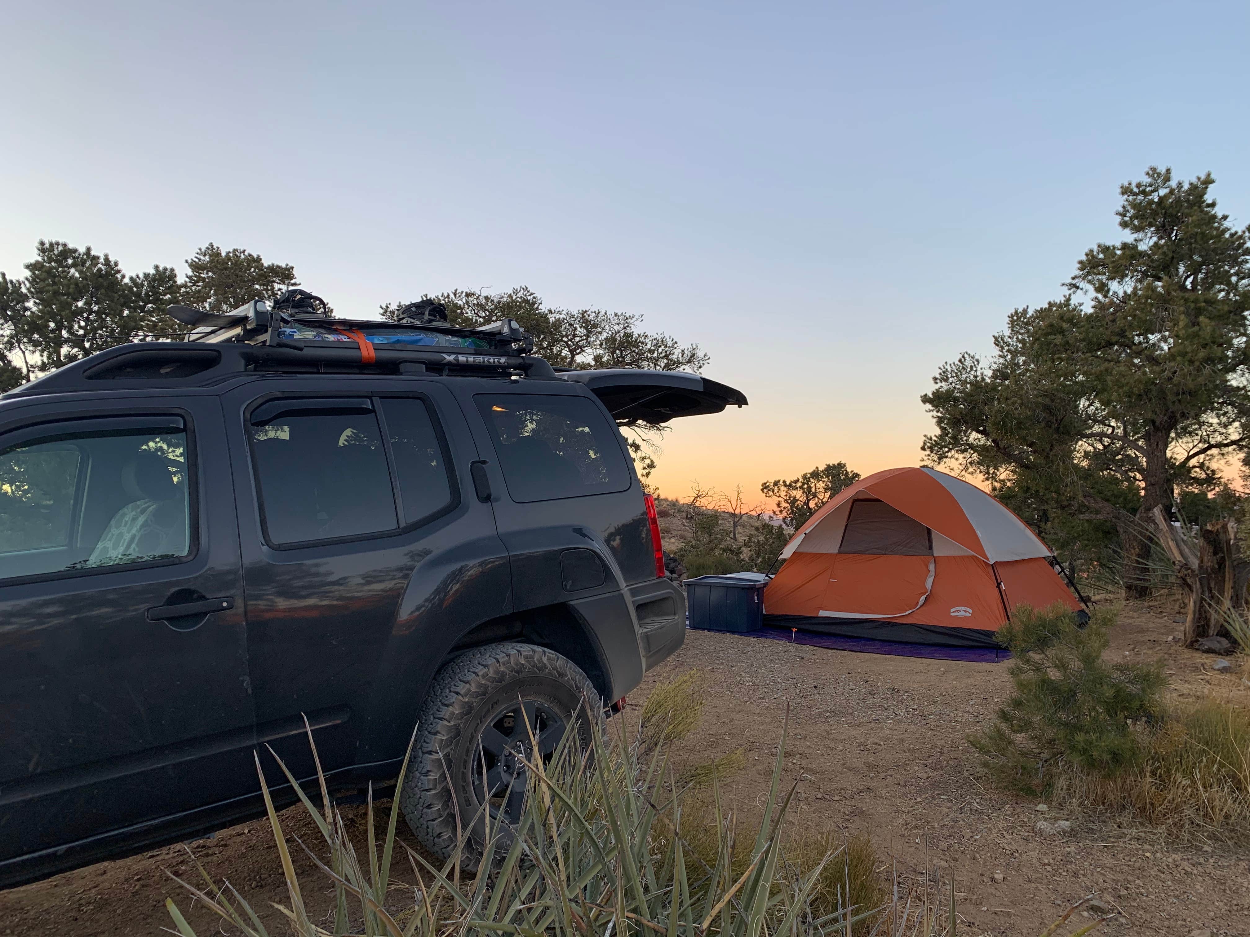Camper-submitted photo at Mid Hills Campground — Mojave National Preserve near Baker, CA