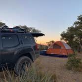 Review photo of Mid Hills Campground — Mojave National Preserve by Bobby C., March 4, 2021