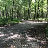 Review photo of Dunewood Campground — Indiana Dunes National Park by Kate M., March 4, 2021
