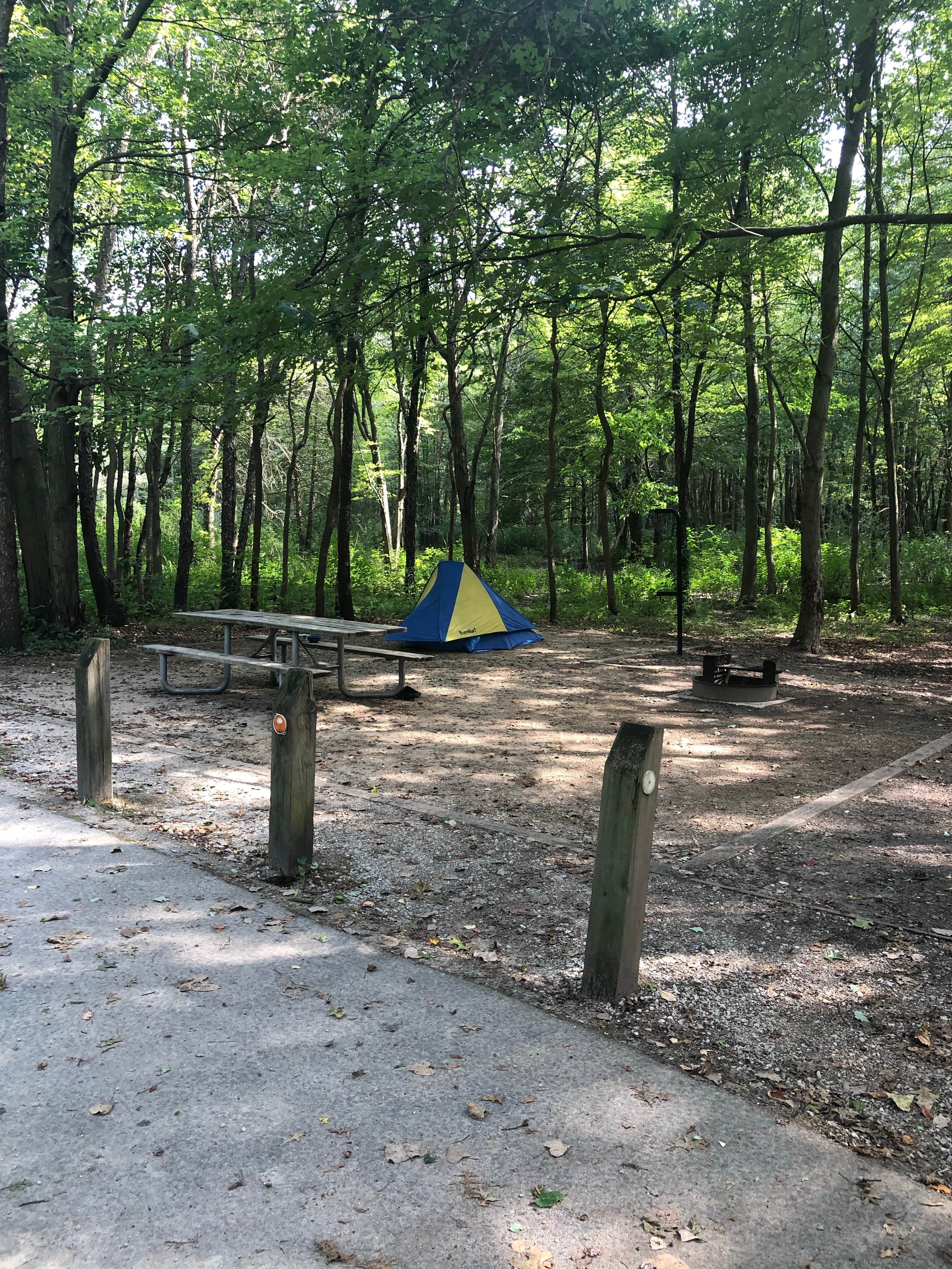 Kate M.'s photo at Dunewood Campground — Indiana Dunes National Park near Hammond, IN