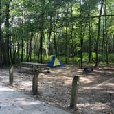 Review photo of Dunewood Campground — Indiana Dunes National Park by Kate M., March 4, 2021