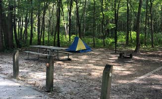Kate M.'s photo at Dunewood Campground — Indiana Dunes National Park near Valparaiso, IN