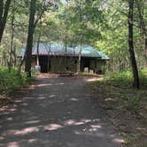 Review photo of Dunewood Campground — Indiana Dunes National Park by Kate M., March 4, 2021