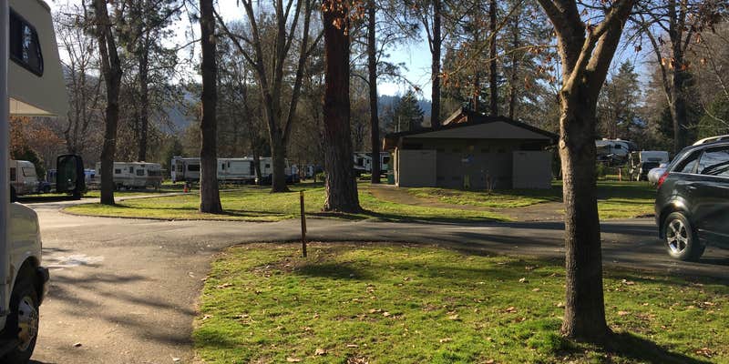 Camper submitted image from Valley of the Rogue State Park Campground