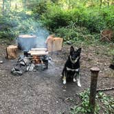 Review photo of Hoh Campground — Olympic National Park by Kate M., March 4, 2021