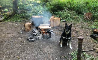Kate M.'s photo of camping with pets at Hoh Campground — Olympic National Park near Olympic National Forest