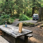 Review photo of Hoh Campground — Olympic National Park by Kate M., March 4, 2021