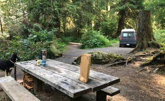Kate M.'s photo of camping with pets at Hoh Campground — Olympic National Park near La Push, WA