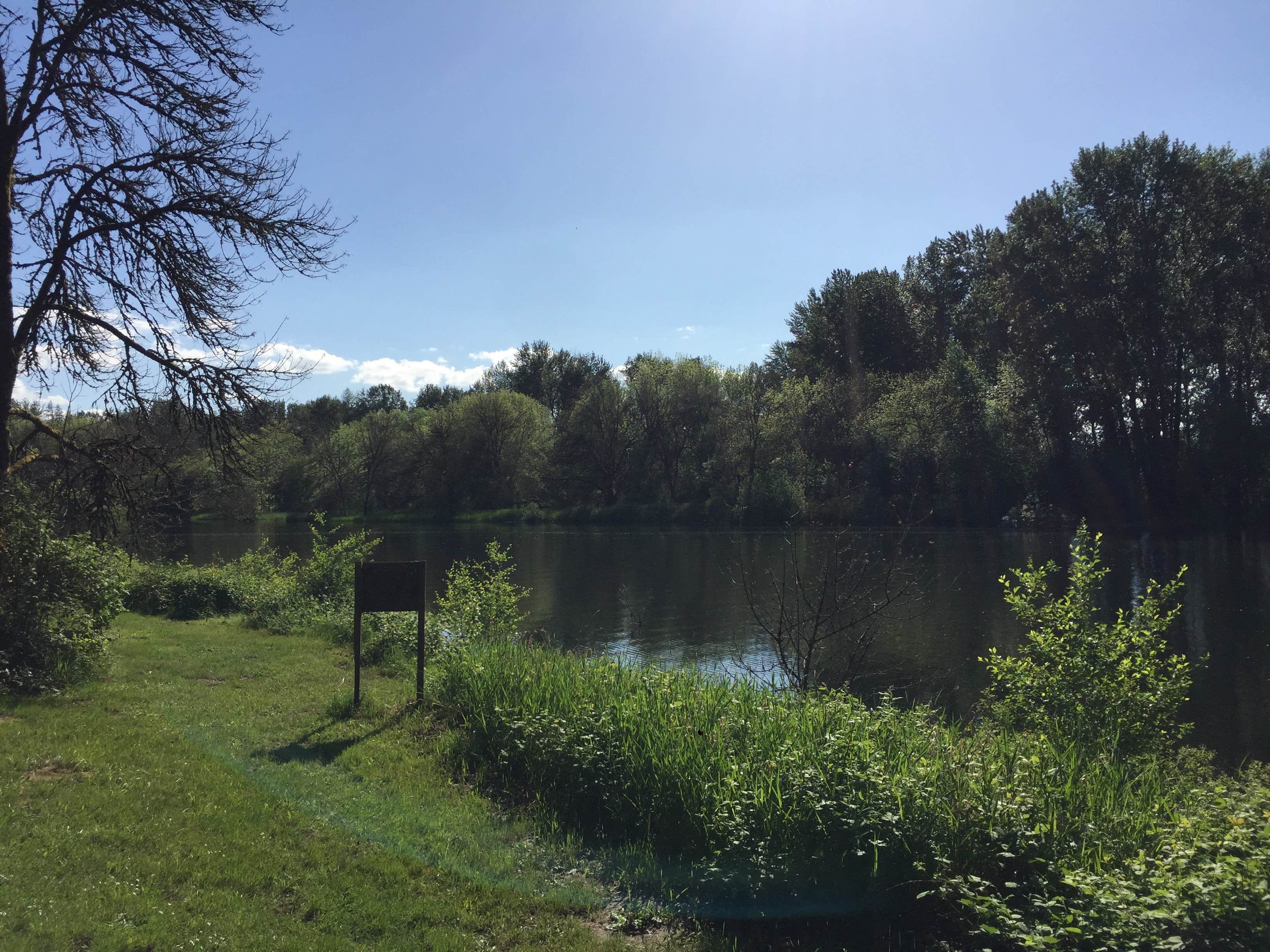Camper-submitted photo at Paradise Point State Park Campground near Yacolt, WA