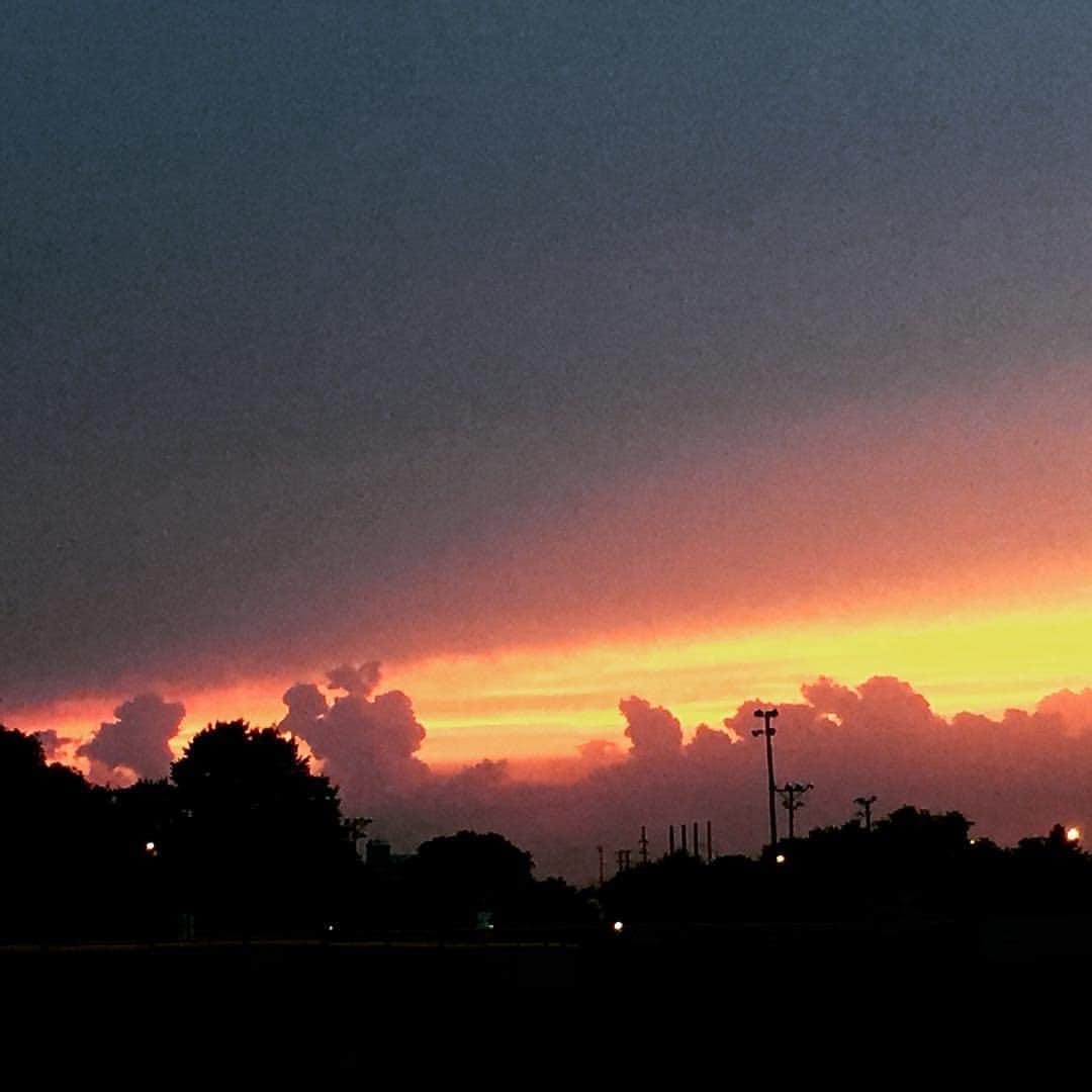 View All