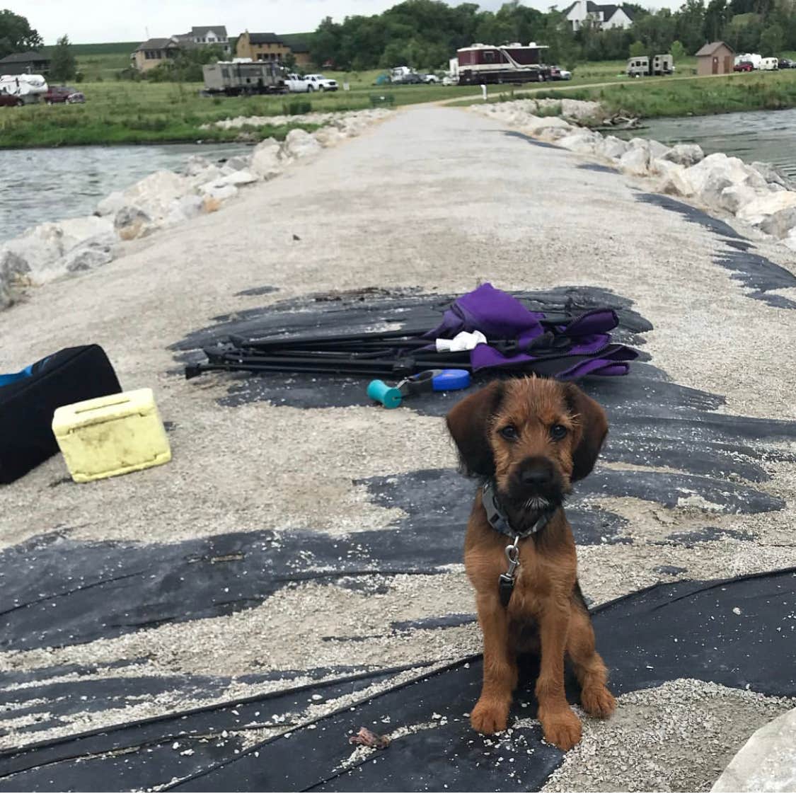 A H.'s photo of camping with pets at Lake Wanahoo State Recreation Area near Lincoln, NE