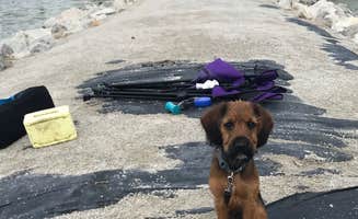 A H.'s photo of camping with pets at Lake Wanahoo State Recreation Area near Omaha, NE