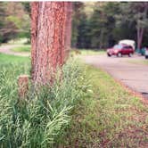 Review photo of Long Pine State Rec Area by A H., March 5, 2021